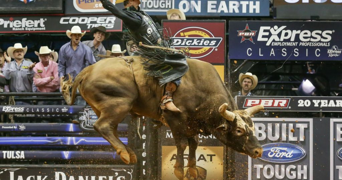 Bull rider who conquered legendary Bushwacker: I was lucky - CBS News