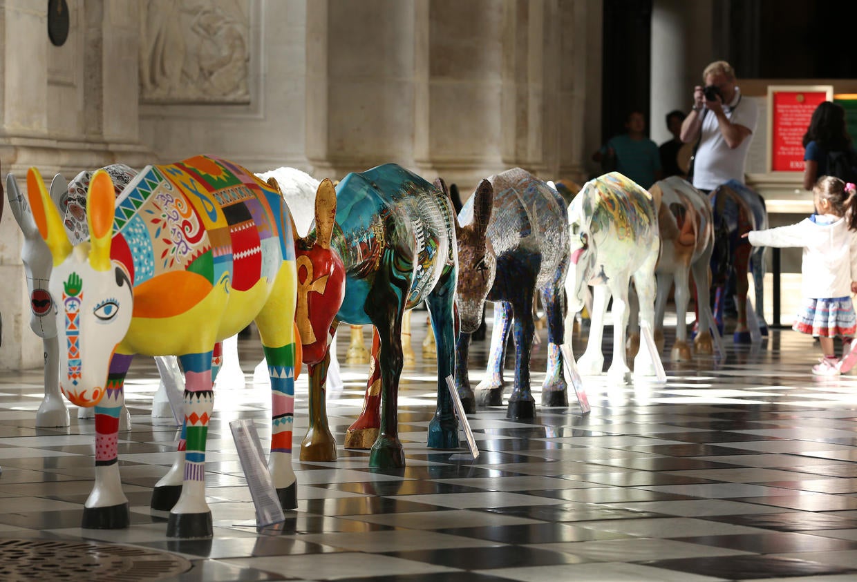 Painted donkeys arrive in London Photo 3 CBS News