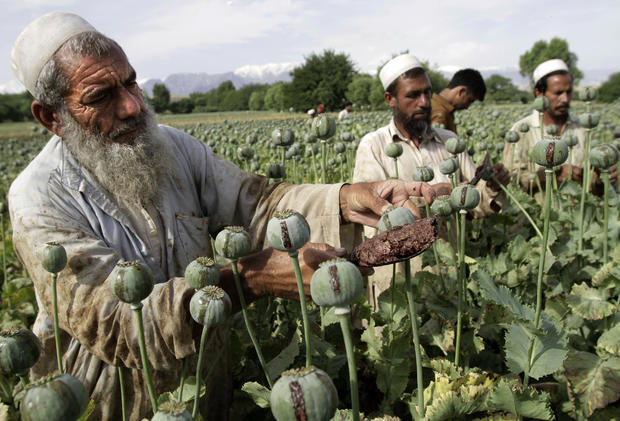 Opium production Afghanistan 