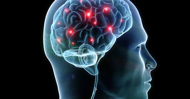 Scientists discover decisionmaking brain structure CBS News