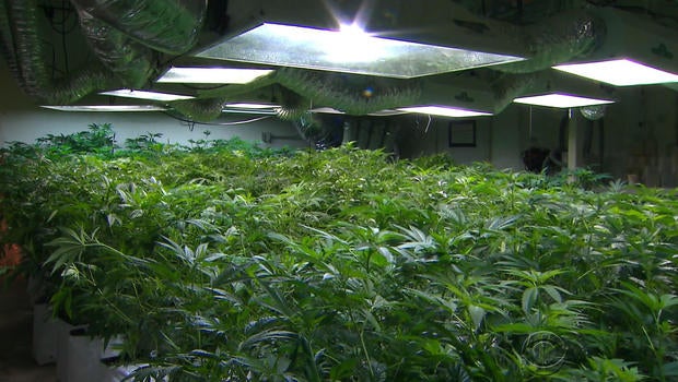 pot.bojorquez04.jpg