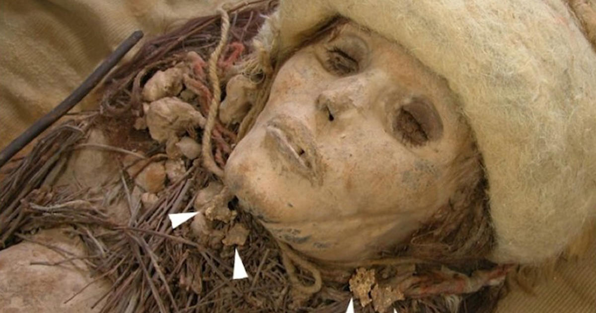 8 for old milk years oldest in CBS China  News Mummies' found  World's cheese milk: