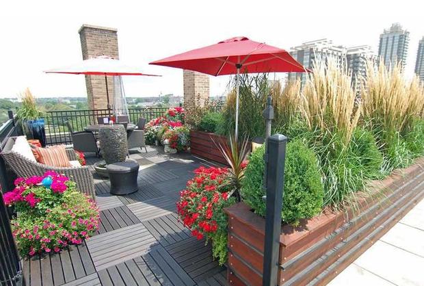 Indianapolis 7 Beautiful Rooftop Gardens Cbs News