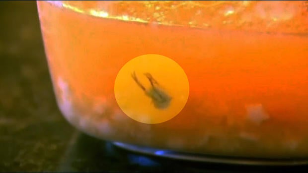 health-0318-chickenembryo-640x360.jpg