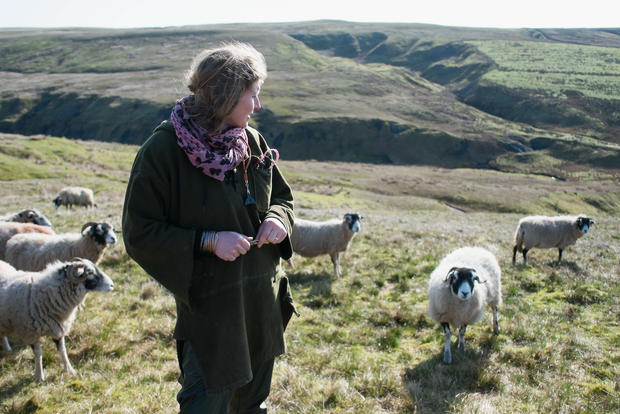 Yorkshire - Life for a Yorkshire shepherdess - Pictures - CBS News