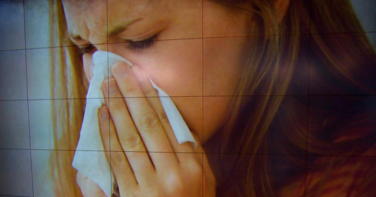 Climate Change May Aggravate Allergies - CBS News