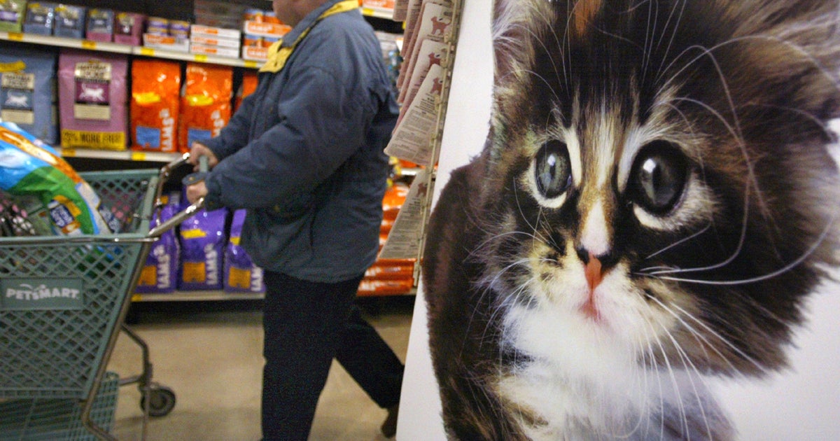 A PetSmartPetco merger might not add up CBS News