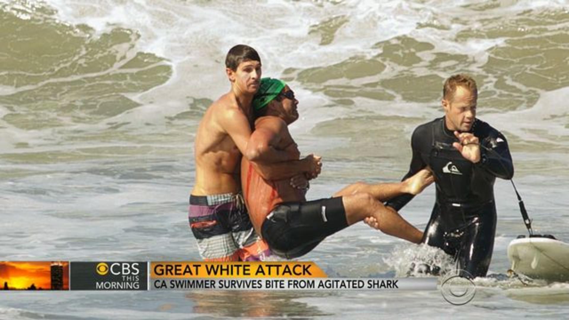 Great White Shark Attack California Swimmer Survives Bite Cbs News