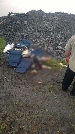 airlines ukraine flight malaysia shot down eastern war malaysian gruesome today sacrificed civil were graphic