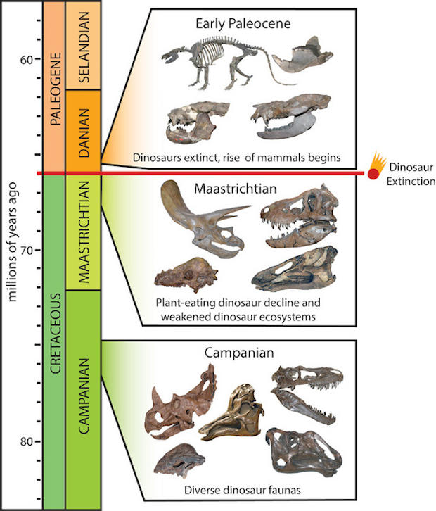 dinosaur with big horn