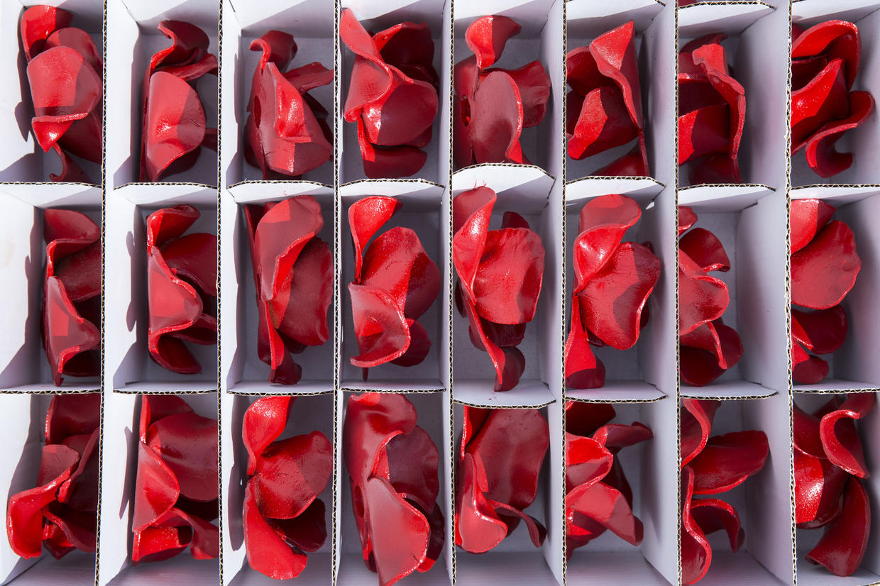 Sea of poppies at the Tower - CBS News