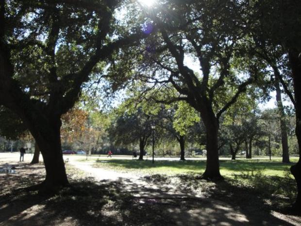 memorial park houston texas - verified 