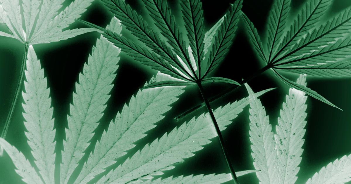 Top Senate Democrats introduce new proposal to decriminalize marijuana