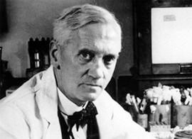 alexander-fleming-penicillin-244.jpg