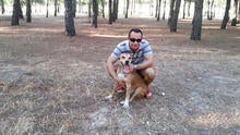 dog-2image002.jpg