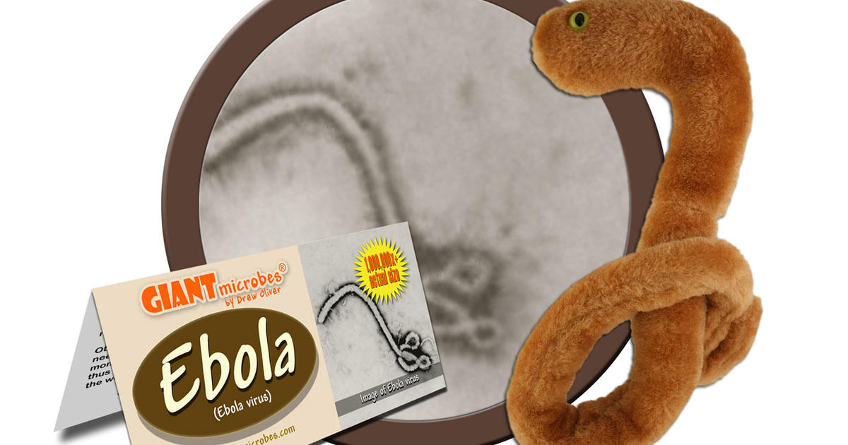 stuffed ebola