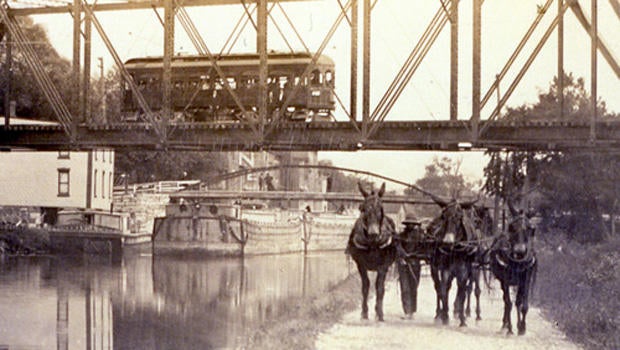 erie-canal-mules-at-lyons-620.jpg