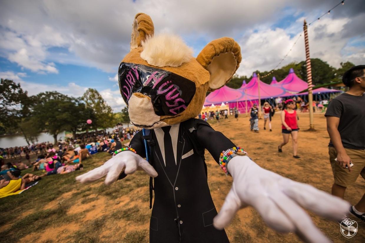 EDM Festivals 24 reasons to go to an EDM festival before you die
