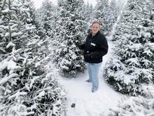 christmas-tree-farm-promo-ap728271809681.jpg