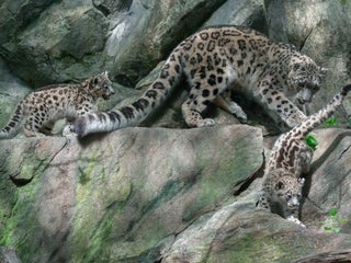 Https Www Cbsnews Com Pictures Domenico Agostinelli Collector Everything From Buttons To Dinosaur Eggs 2015 04 10t13 44 17 0000 Https Cbsnews3 Cbsistatic Com Hub I R 2014 12 31 5db30a6b 74b4 4503 B209 87fe488413b7 Thumbnail 320x240