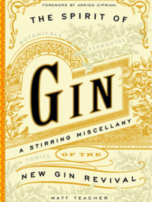 the spirit of gin 