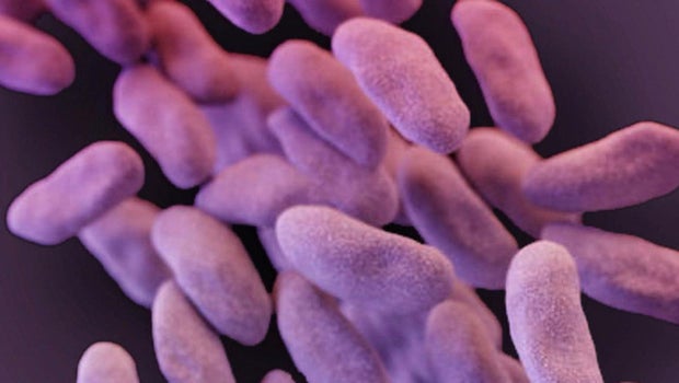 Aggressive Containment Combats Spread of Nightmare Bacteria Aggressive Containment Combats Spread of Nightmare Bacteria