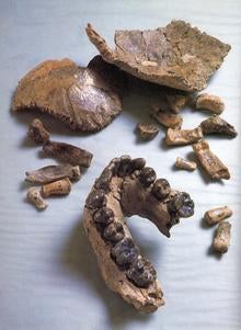 1spoor-et-aloh7john-reader.jpg