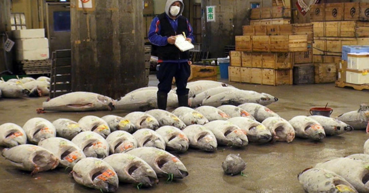 Biggest Seafood Market In The World