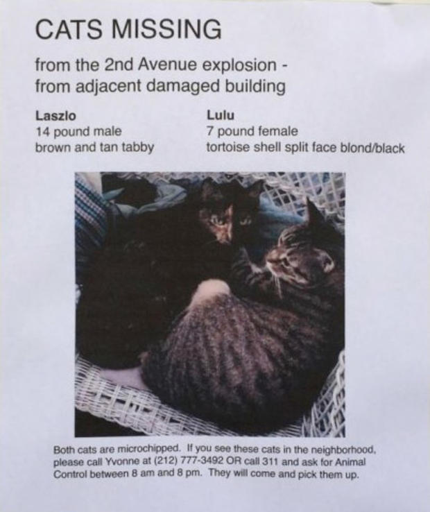 Laszlo, Lulu, Missing Cats, East Village Explosion 