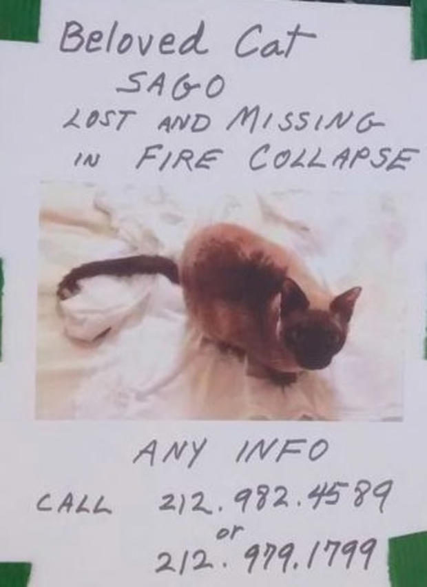 Sago, Missing Cat, East Village Explosion 