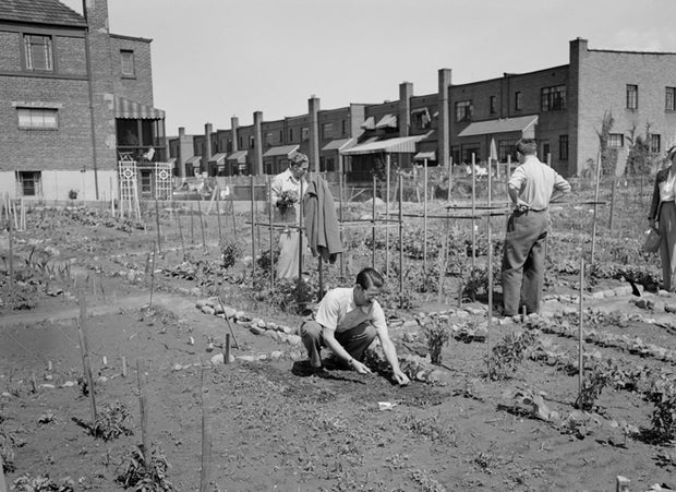 Propaganda Art For WWII Victory Gardens CBS News propaganda-art-for-wwii-victory-gardens-cbs-news
