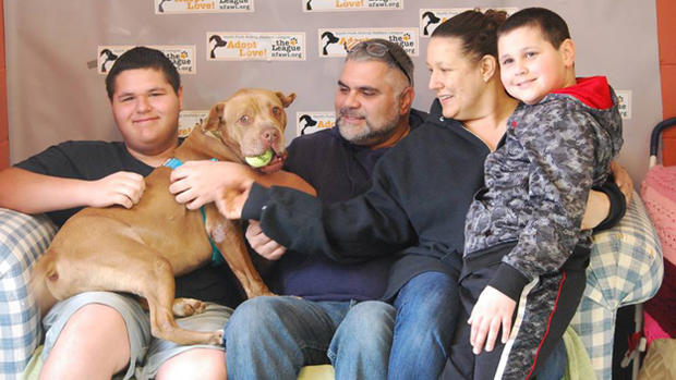 Chester The Pit Bull With His New Family 