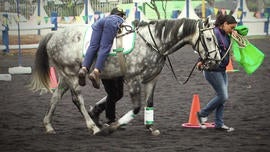 equinoterapia3.jpg