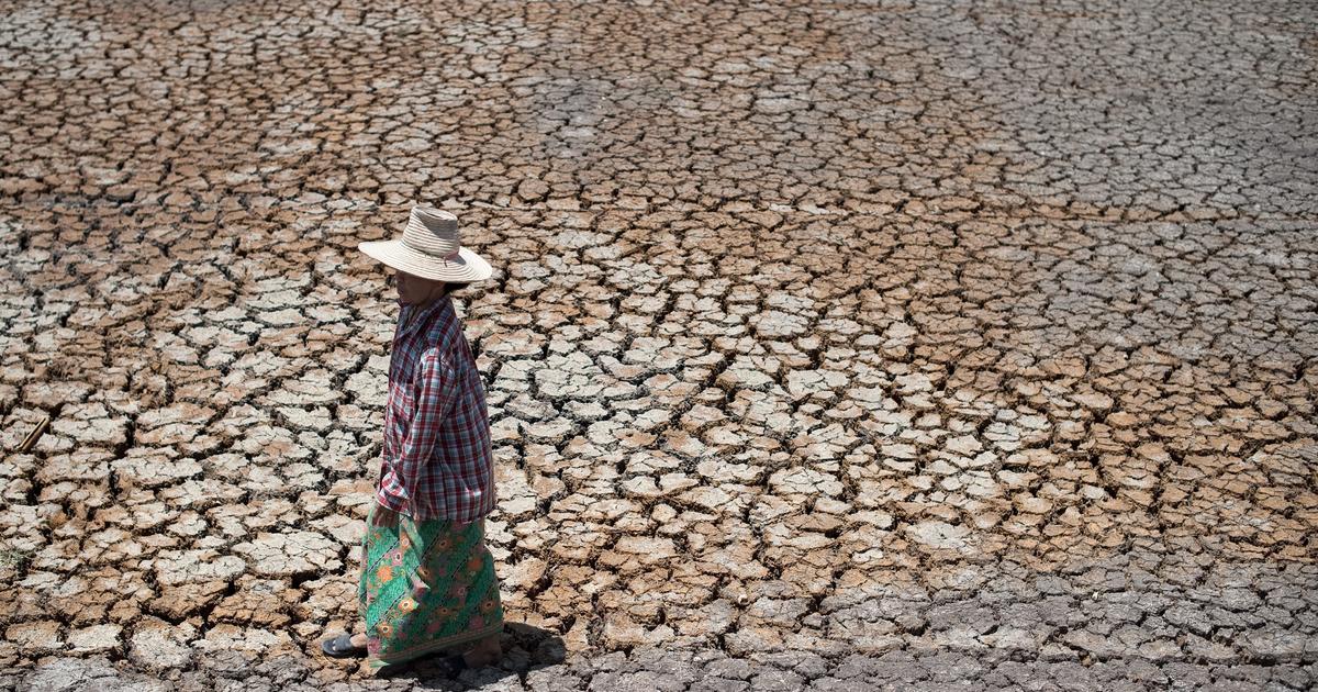 Risk of food shortages to rise with climate change CBS News