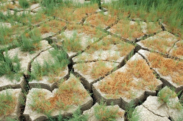 climate change Nevada's Lake Mead 