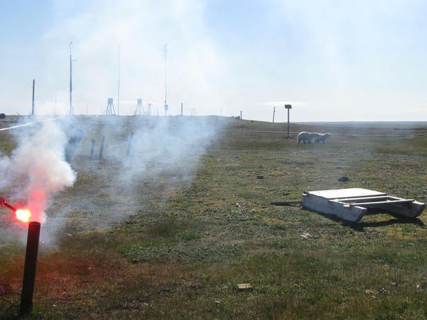 Flares are fired in a futile effort to convince polar bears to leave the area surrounding a remote weather station on the northern Russian island of Vaygach