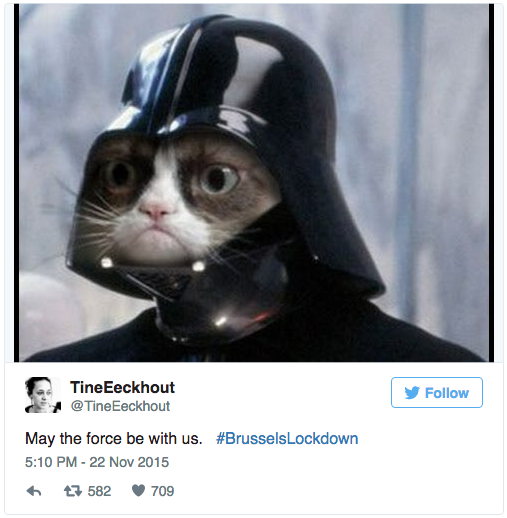 These cats are fighting terrorism CBS News