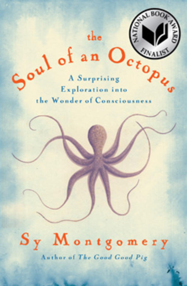 The Soul of an Octopus 