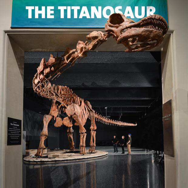 Titanosaur Takes New York By Storm