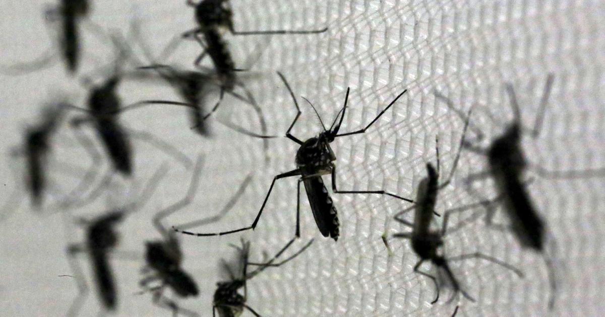 Second Zika zone confirmed in South Beach