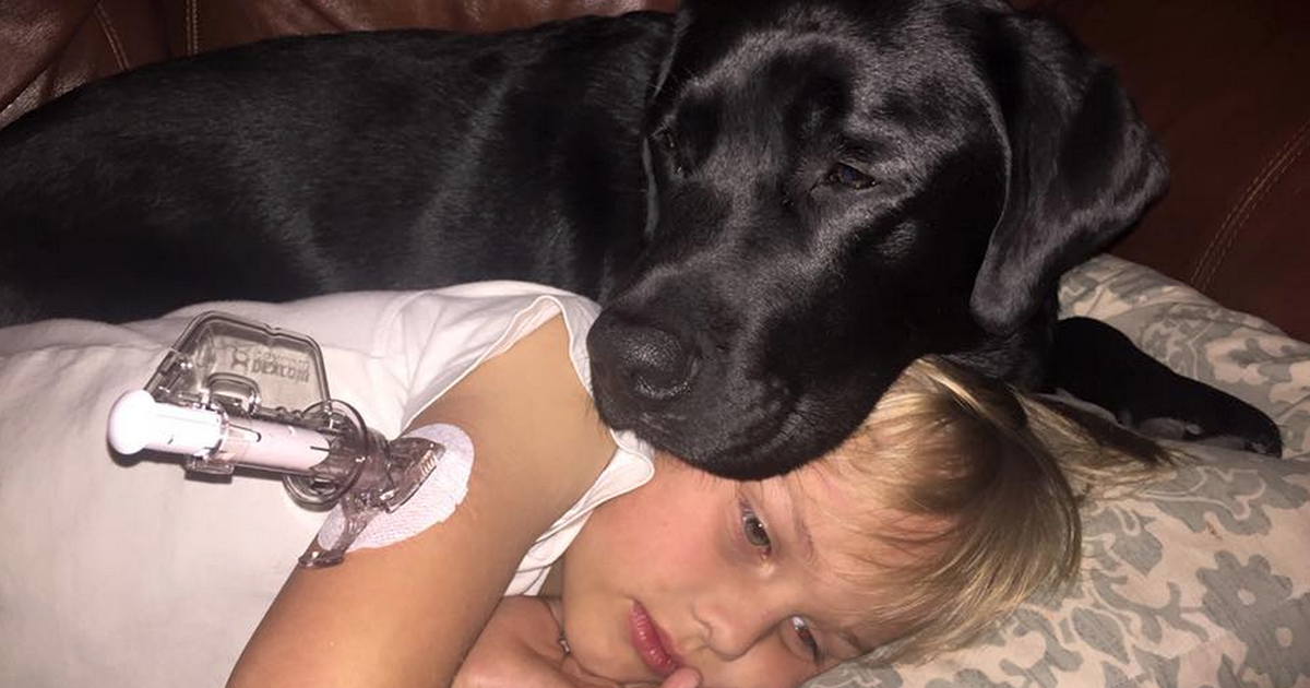 Dog saves the life of sleeping boy with type 1 diabetes ...
