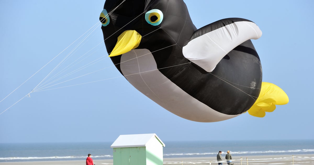 Giant kites soar at International Kite Festival CBS News