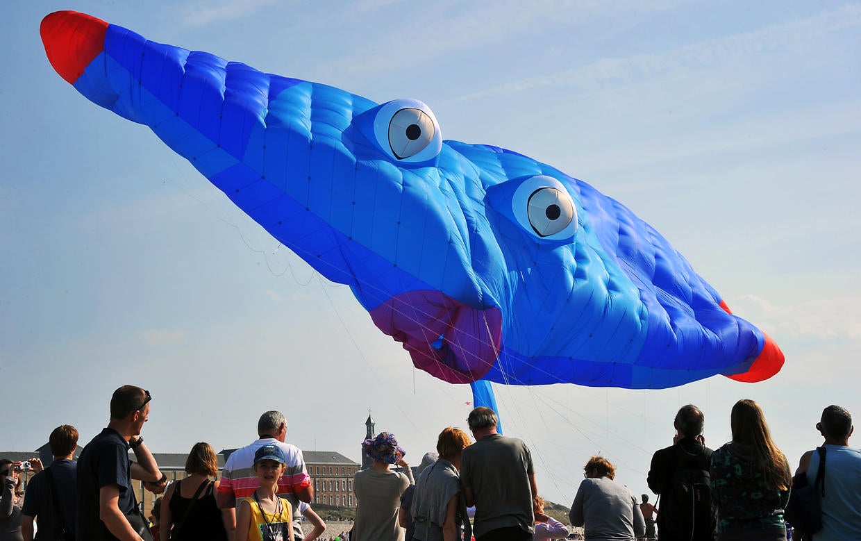 International Kite Festival Giant kites soar at International Kite