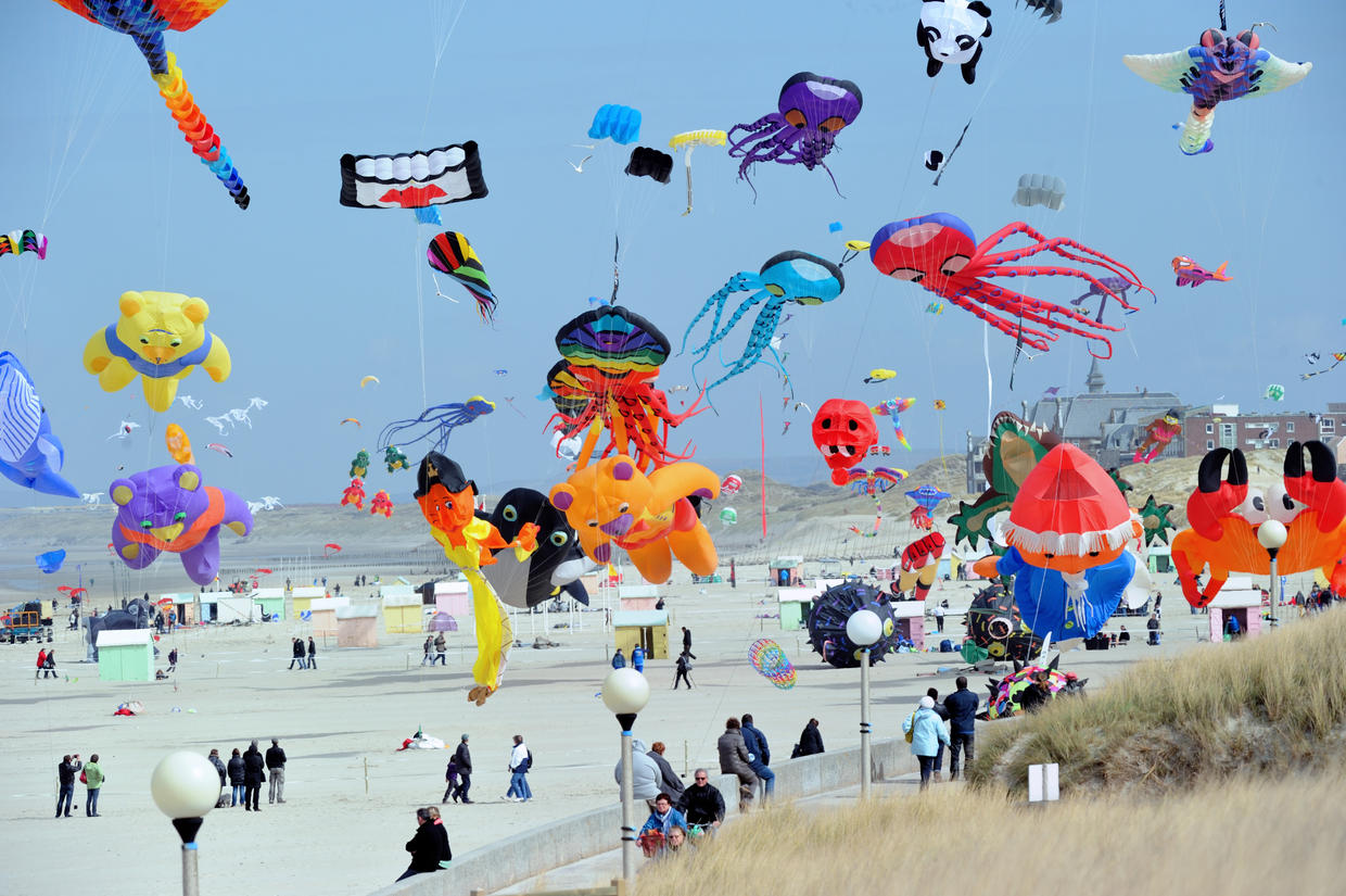 International Kite Festival Giant kites soar at International Kite