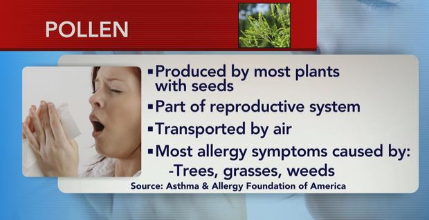 ctm0518pollen.jpg