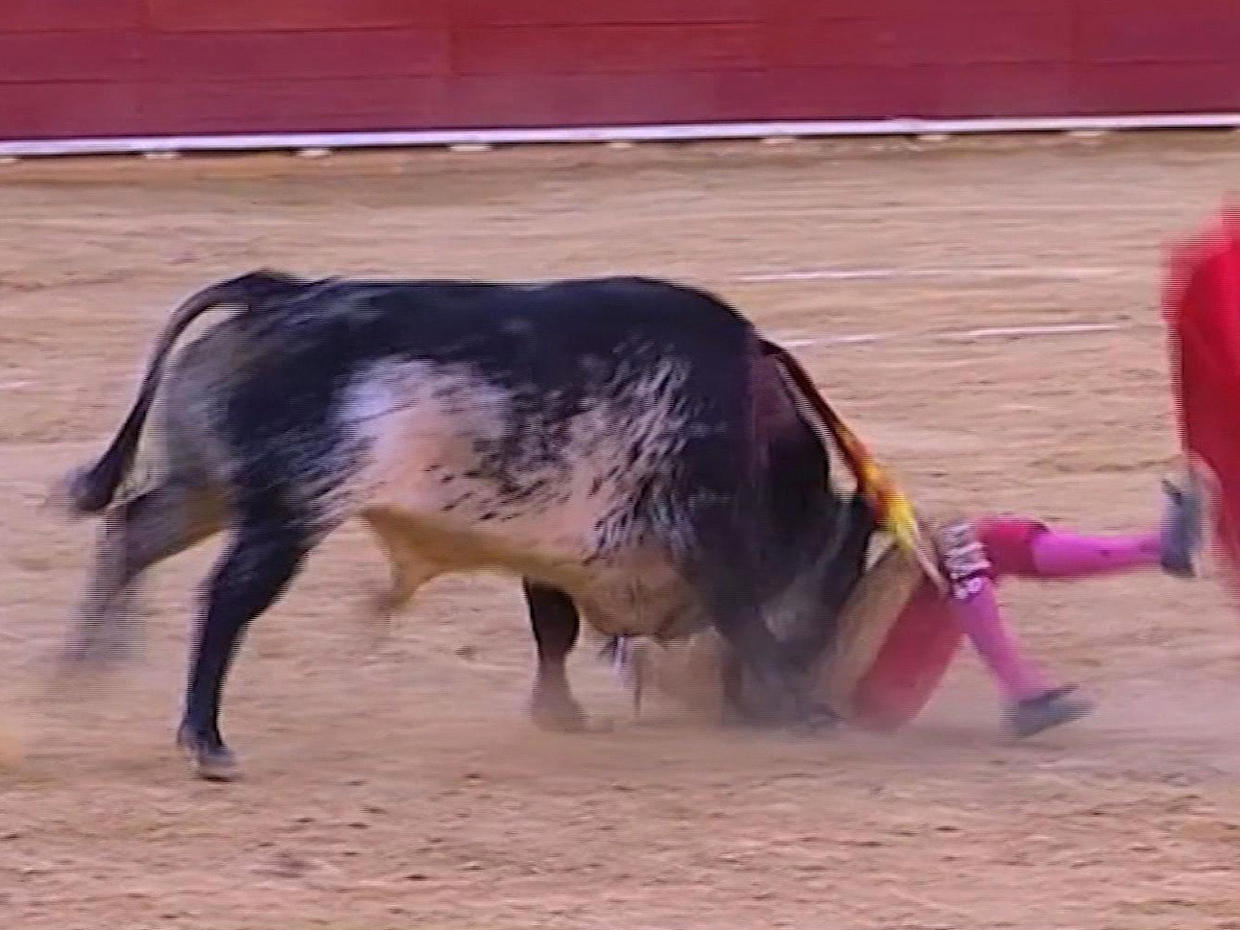 bullfighter-killed-by-bull-during-fight-in-spain-for-the-first-time-in