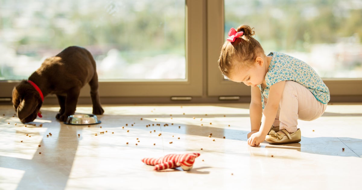 Foodonfloor "five second rule" debunked CBS News