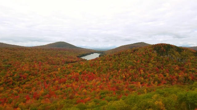 vermont-fall-foliage1.jpg 