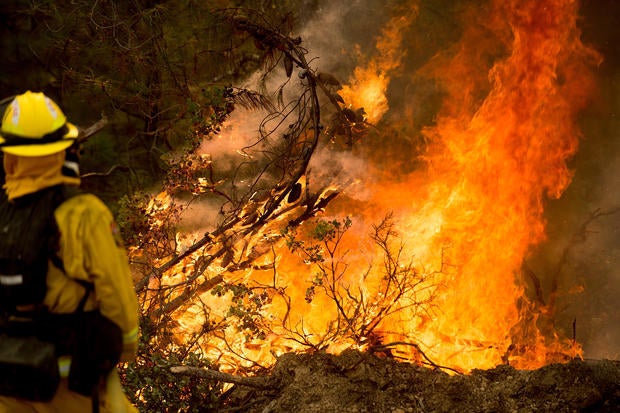 wildfire1.jpg