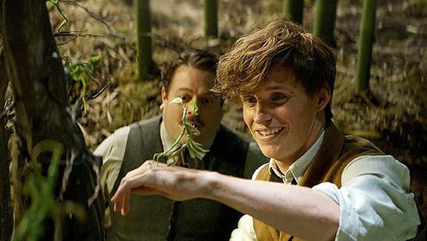 eddie-redmayne-fantastic-beasts-bowtruckle-620.jpg